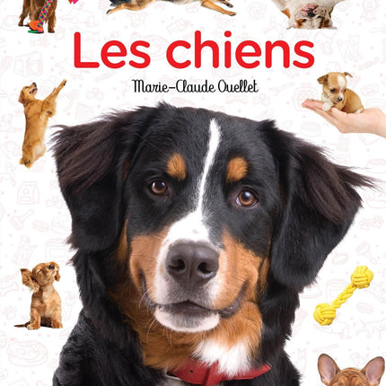 Les chiens