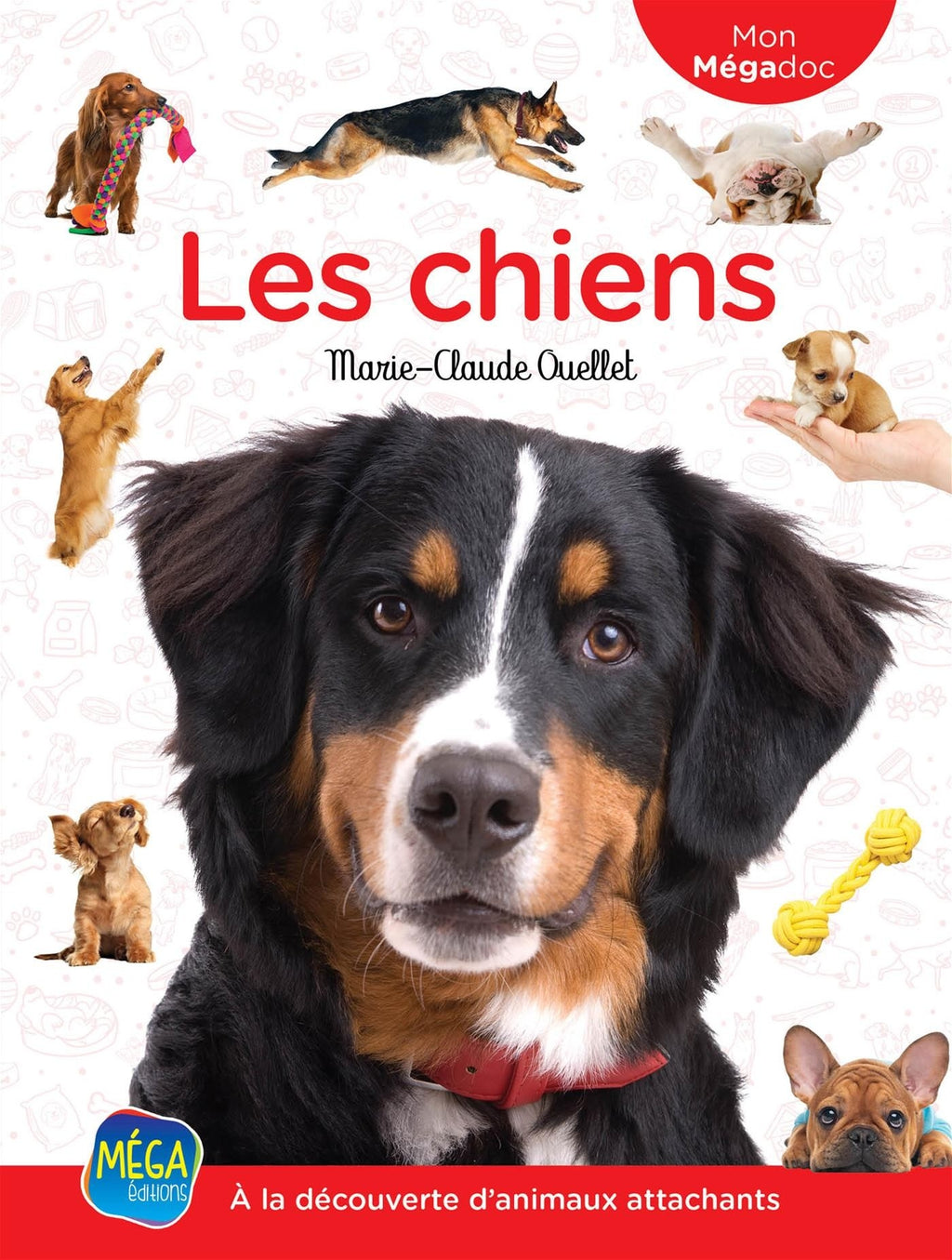 Les chiens