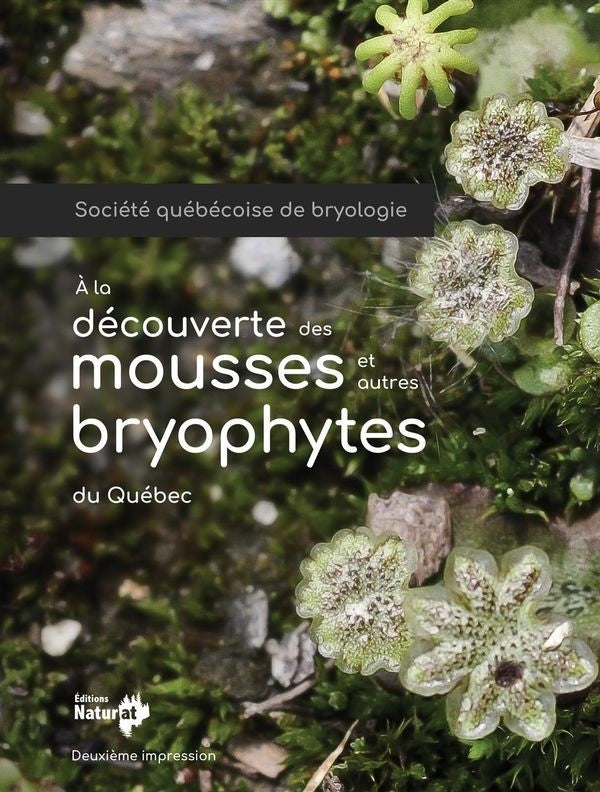 Discovering mosses and other bryophytes of Quebec