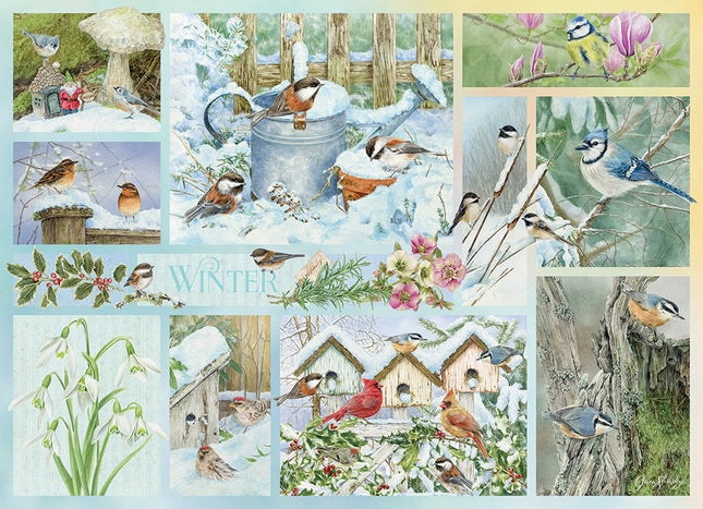 Ct 500 cobble hill garden birds in winter