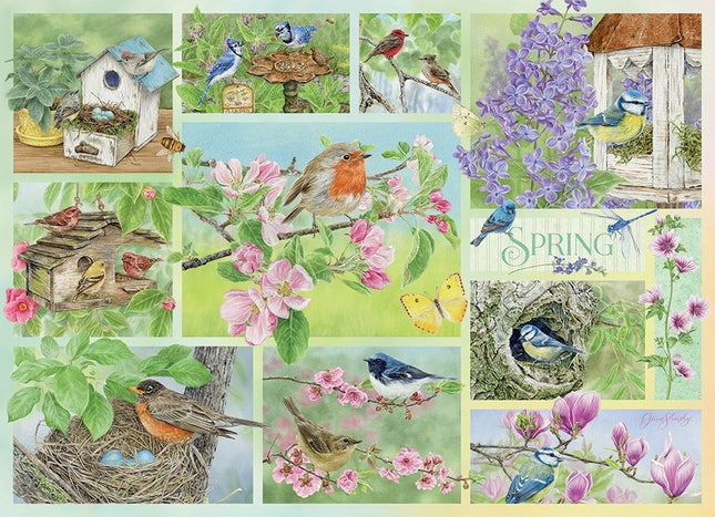 Ct 500 cobble hill garden birds in spring
