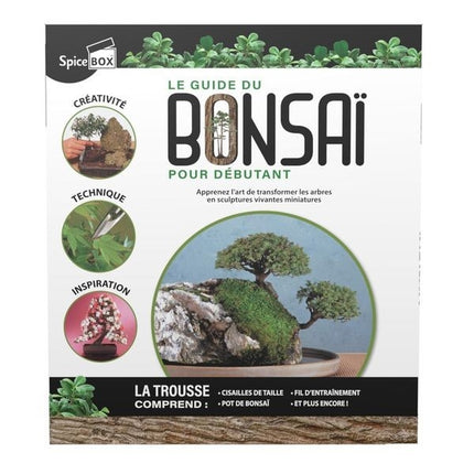 The Beginner's Guide to Bonsai