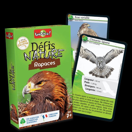 Birds of prey nature challenges