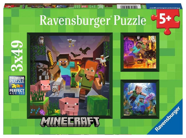 Ct 3x49 ravensburger minecraft biomes