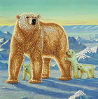 Diamond card - polar family