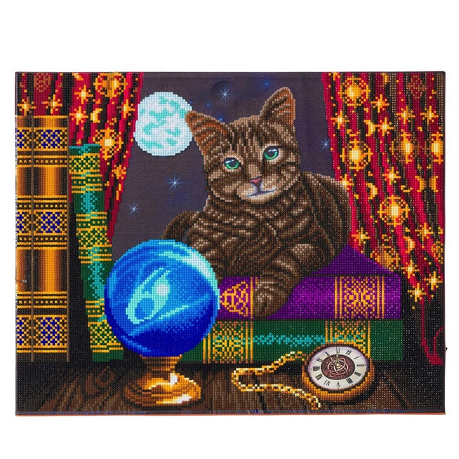 Large diamond painting light canvas (40x50cm) - fortune teller