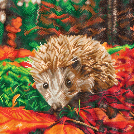 Mounted canvas (16x20") diamond painting - hedgehog