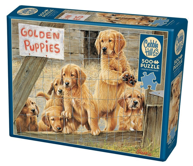 Ct 500 cobble golden puppies