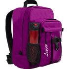 Lavoie phoenix backpack - purple