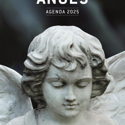 Anges - agenda 2025