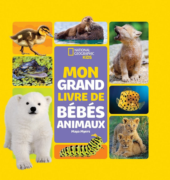 Mon grand livre de bébés animaux