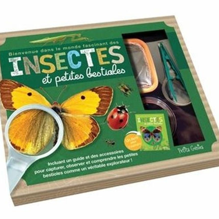 Insectes et petites bestioles