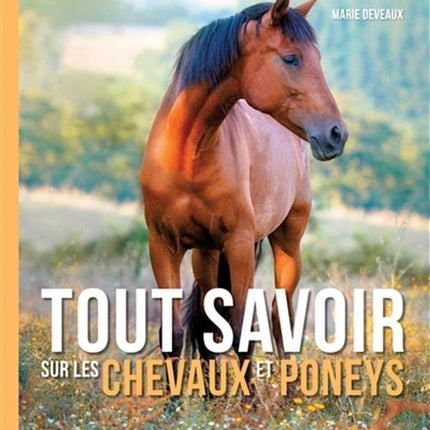 Tout savoir sur les chevaux et poneys