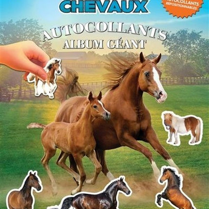 Le monde des chevaux - autocollants - album géant