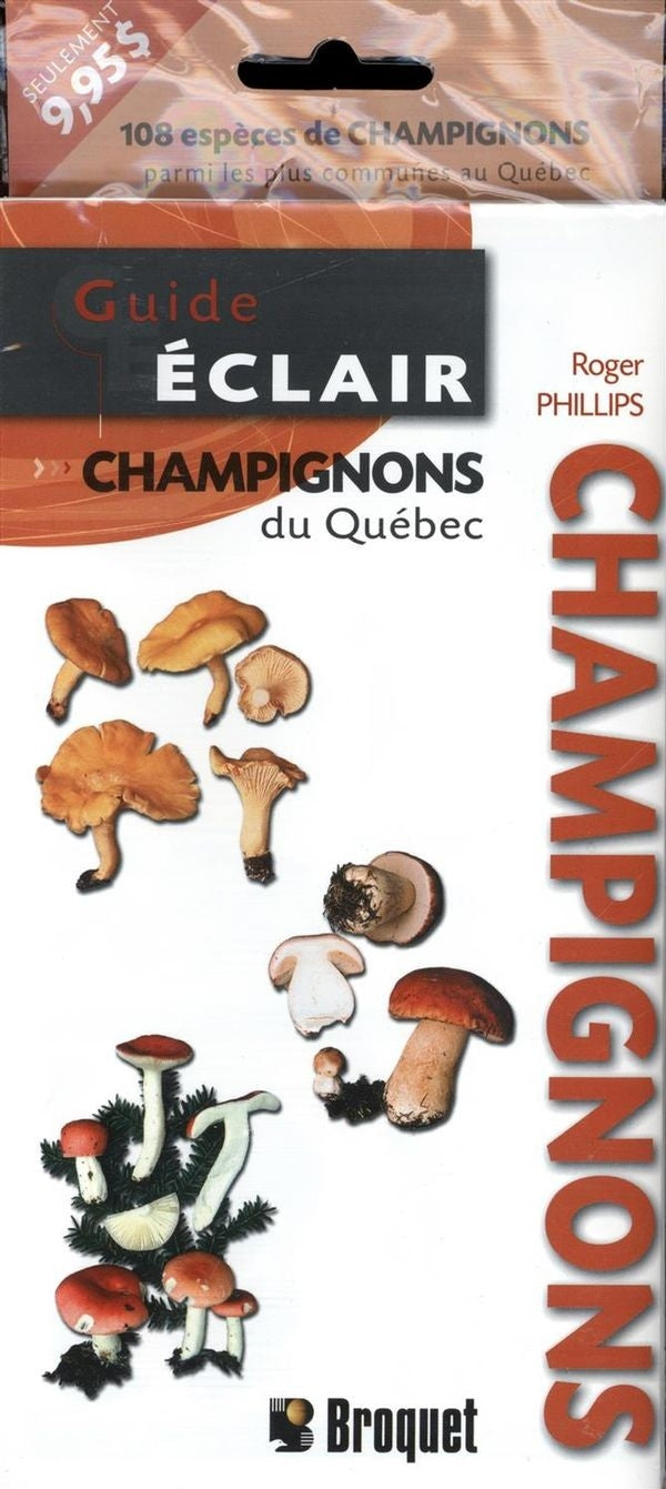 Champignons