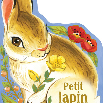 Petit lapin