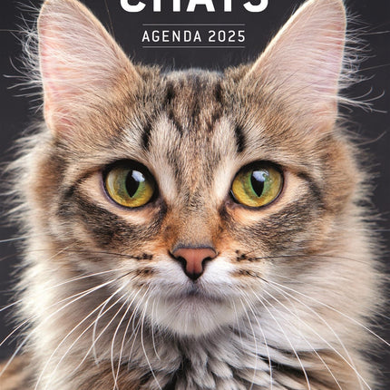 Chats - agenda 2025