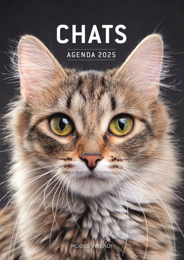 Chats - agenda 2025