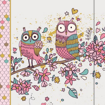 Journal couverture rigide spiral 7.5X10po Deux hibous