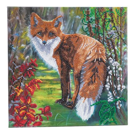 CA Mounted Kit (Med): Autumn Fox