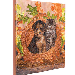 Collection image for: Peintures aux diamants