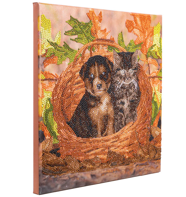 CA Mounted Kit (Med): Best friends