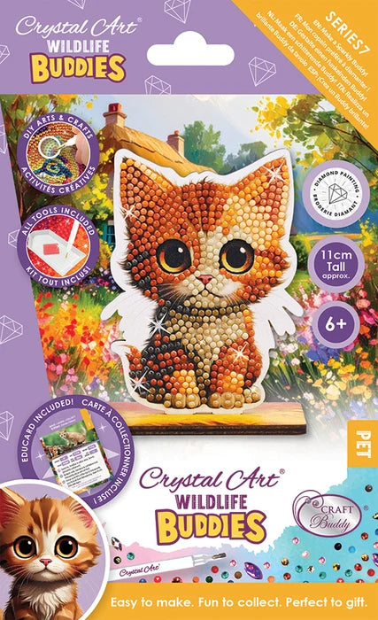 CA Buddies: Kitten (single