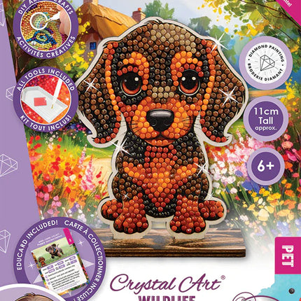 CA Buddies: Puppy (single)