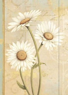 Journal marguerites spirales 7.5poX10po Simple Dream 144 pages