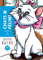 Disney Mystery Coloring Pages - Cats and Felines 