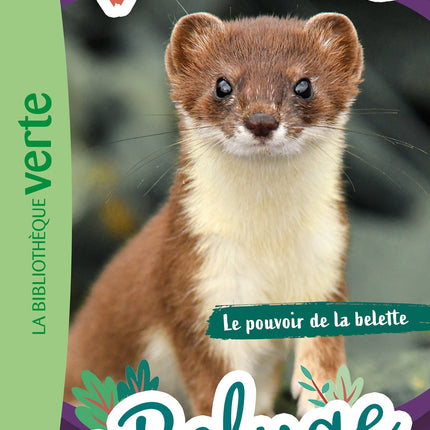 Welcome to Shelter 12 - The Power of the Weasel