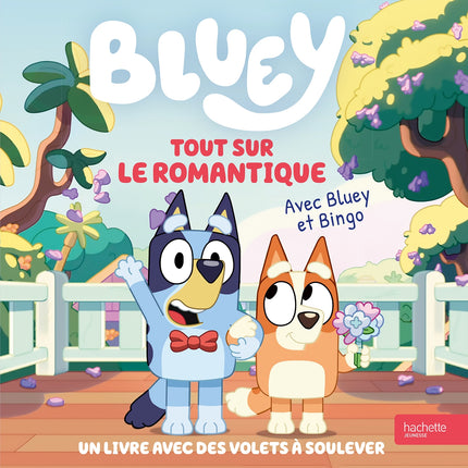 Bluey - Tout sur le romantique