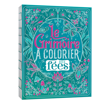 The Fairy Coloring Book