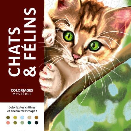 Coloriages mystères - Chats et félins
