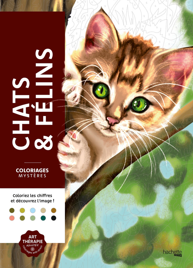 Mystery Coloring Pages - Cats and Felines