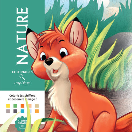 Coloriages mystères Disney - Nature