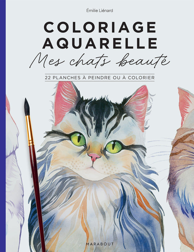 My beautiful cats
