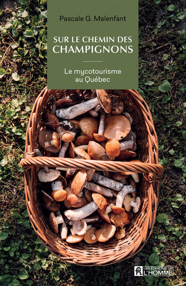 Sur le chemin des champignons Le mycotourisme au Québec