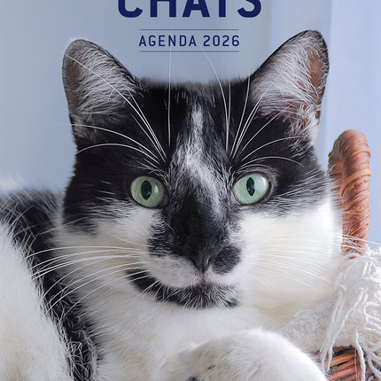 Chats - Agenda 2026
