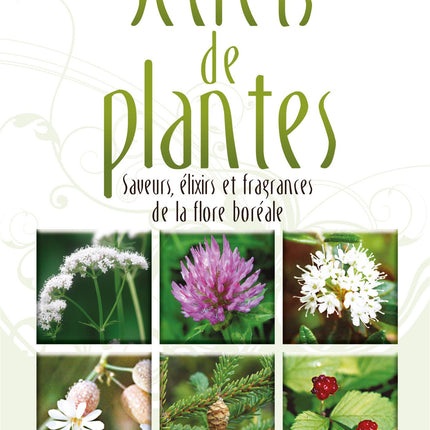 Secrets de plantes Saveurs, élixirs et fragrances de la flore boréale