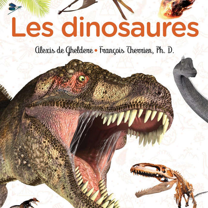 Les dinosaures À la découverte d'animaux légendaire