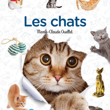 Les chats À la découverte d'animaux mystérieux