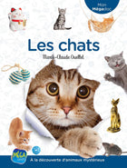 Les chats À la découverte d'animaux mystérieux