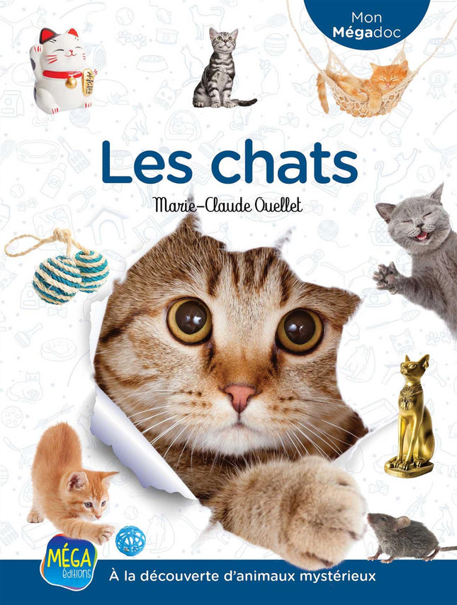 Les chats À la découverte d'animaux mystérieux