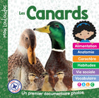 Ducks: A First Photo Documentary
