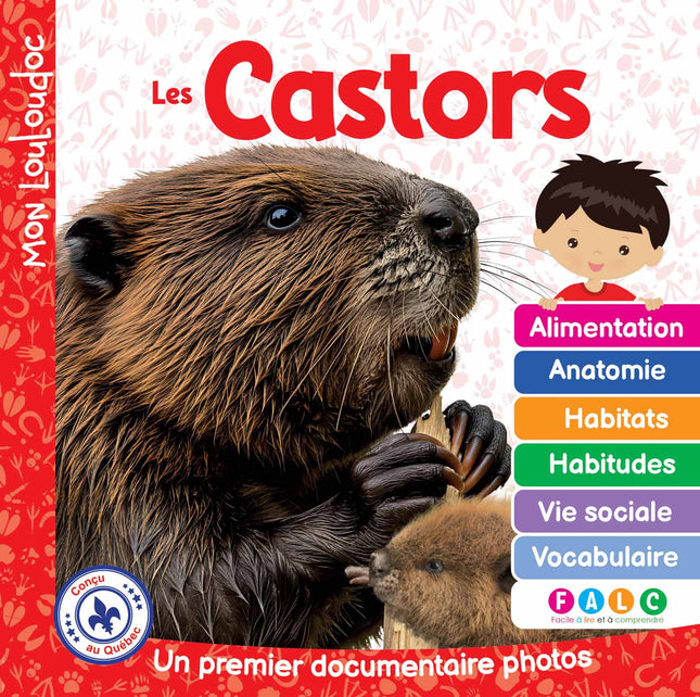 Les castors Un premier documentaire photos
