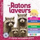 Les ratons laveurs Un premier documentaire photos