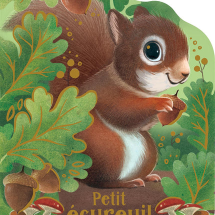 Petit écureuil