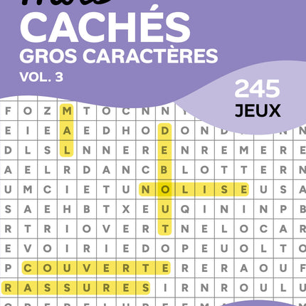 Large Print Word Search - Vol. 3