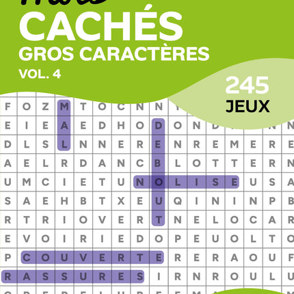 Large Print Word Search - Vol. 4